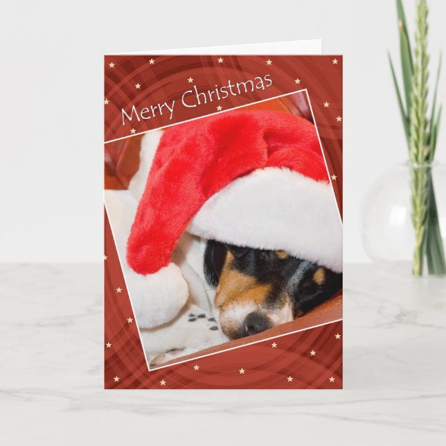 Snoozing Dog In Santa Hat Christmas Card (Front)