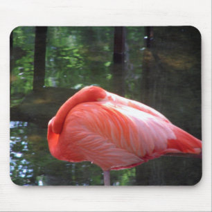 Snoozing Flamingo Mouse Pad