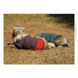 Snoozing in Nong Khai