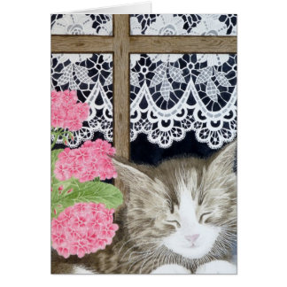 Snoozing in the sun cards