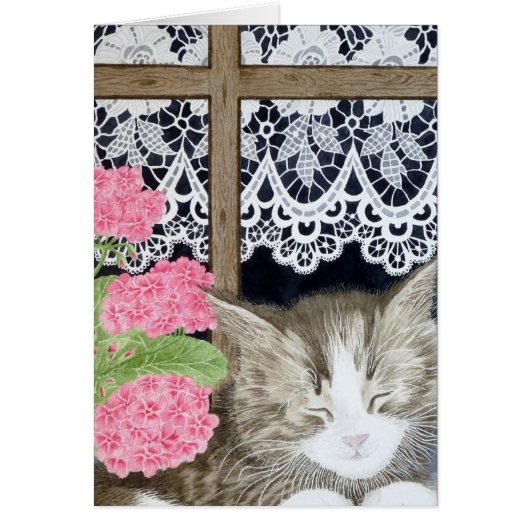 Snoozing in the sun cards (Front)