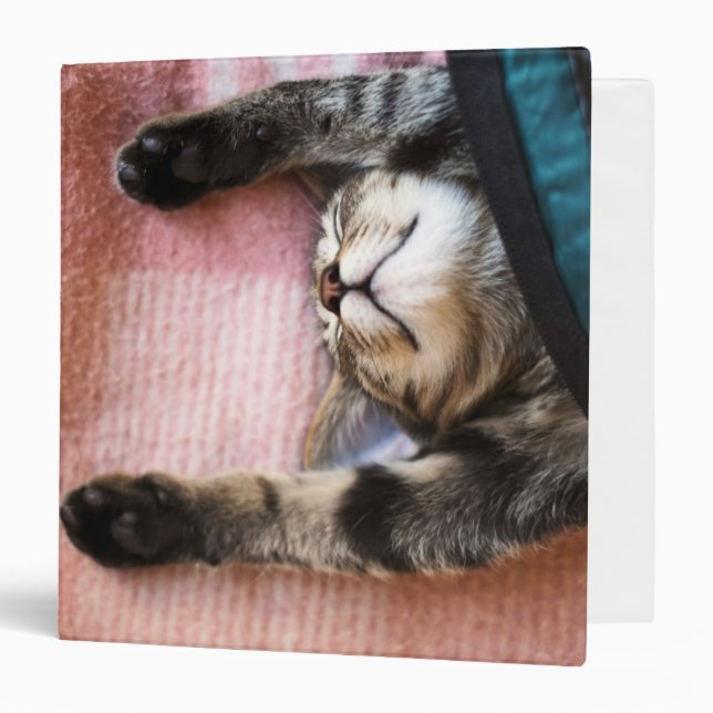 Snoozing Kitten Binder (Front/Inside)