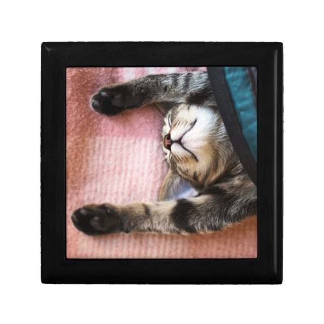 Snoozing Kitten Gift Box (Front)
