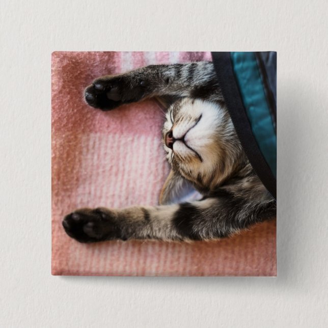 Snoozing Kitten Pinback Button (Front)