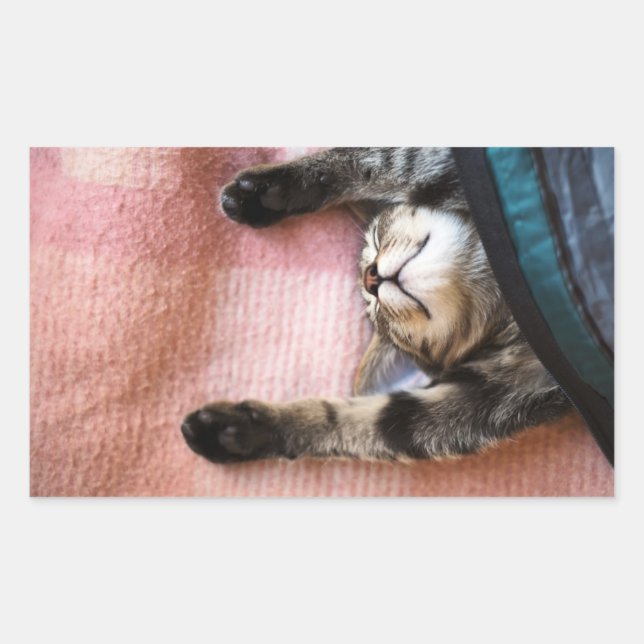 Snoozing Kitten Rectangular Sticker (Front)