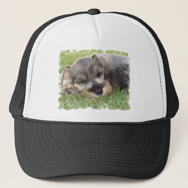 Snoozing Schnauzer Baseball Hat (Front)