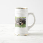 Snoozing Schnauzer Beer Stein