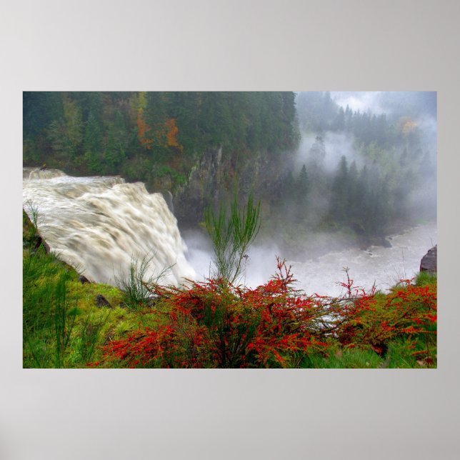 snoqualene poster (Front)