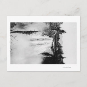 Snoqualmie Falls and Lodge, Washington Photograp Postcard