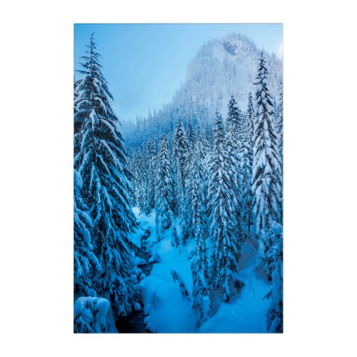 Snoqualmie Pass Washington State Acrylic Print