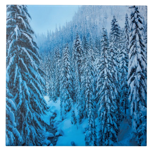 Snoqualmie Pass, Washington State. Ceramic Tile (Front)