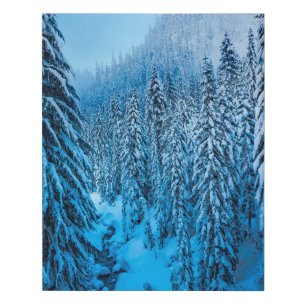 Snoqualmie Pass, Washington State. Faux Canvas Print