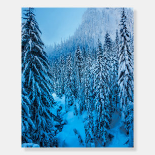 Snoqualmie Pass, Washington State. Foam Board
