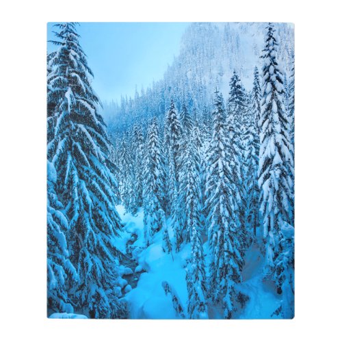 Snoqualmie Pass Washington State Metal Print