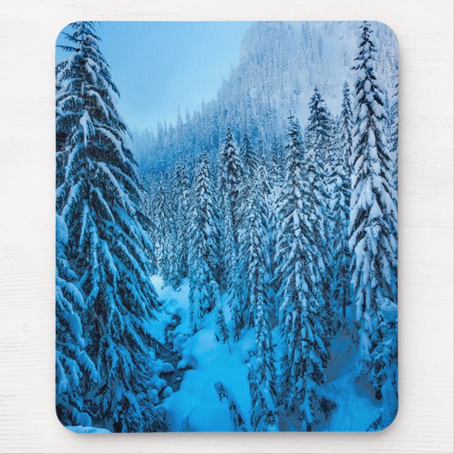 Snoqualmie Pass, Washington State. Mouse Pad (Front)