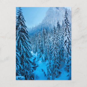 Snoqualmie Pass, Washington State. Postcard