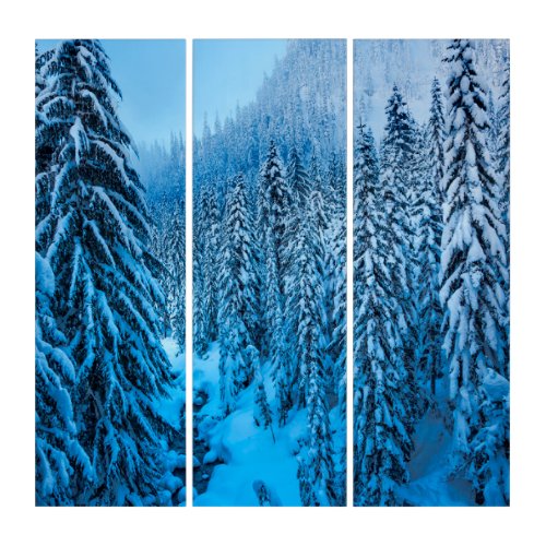 Snoqualmie Pass Washington State Triptych