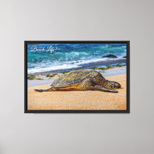 Snorkeling at Hanauma Bay, O'ahu Canvas Print