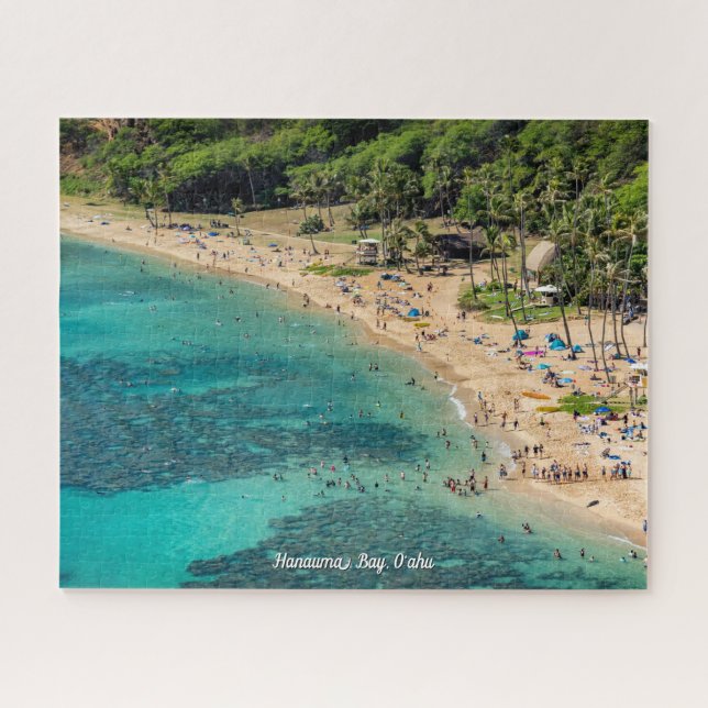 Snorkeling at Hanauma Bay, O'ahu Jigsaw Puzzle (Horizontal)