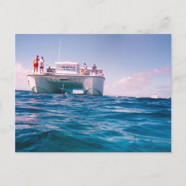 Snorkeling in the Bahamas Postcard (Front)
