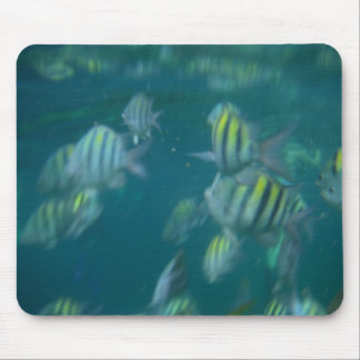 snorkeling mousepad