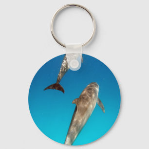 snorkeling with dolphins keychain