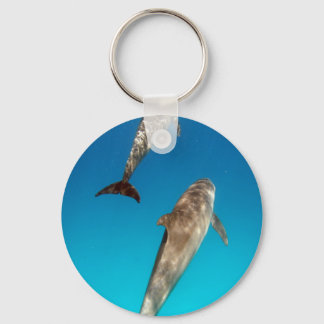 snorkeling with dolphins keychain