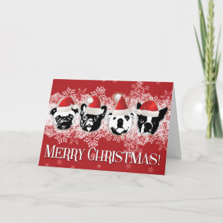 SNORT Christmas Card (Large - 7"x5")