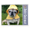 SNORT RESCUE 2020 CALENDAR