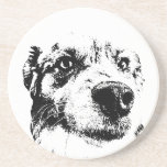 Snout Surprise Coaster