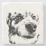 Snout Surprise Stone Coaster