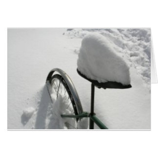 snow 3 cards