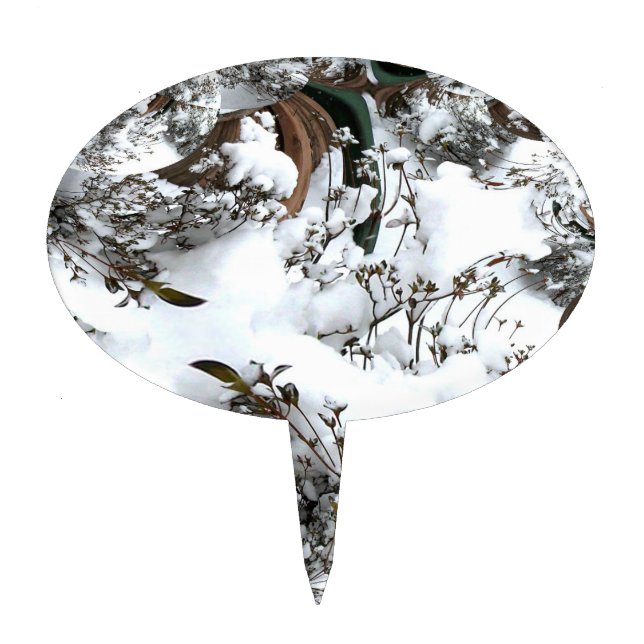 Snow Abstract Cake Topper (Front)