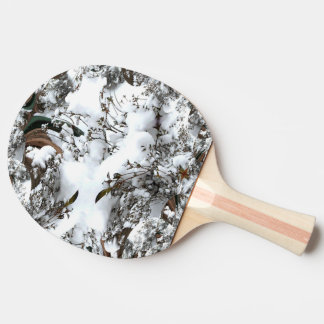 Snow Abstract Ping-Pong Paddle