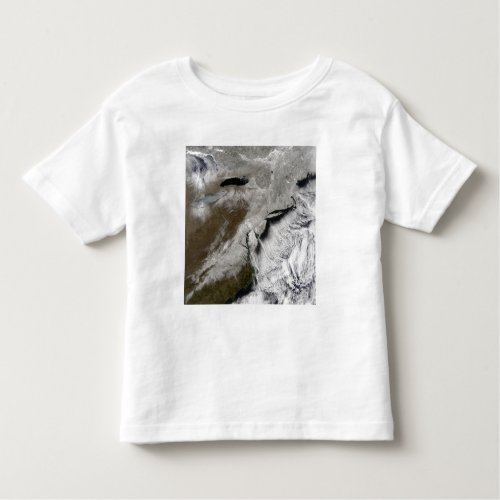 Snow across the northeastern United States Toddler T_shirt