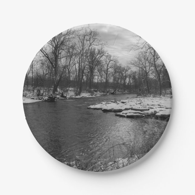 Snow Along James River Grayscale Paper Plates (Front)