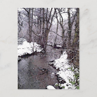 Snow along the River Postcard