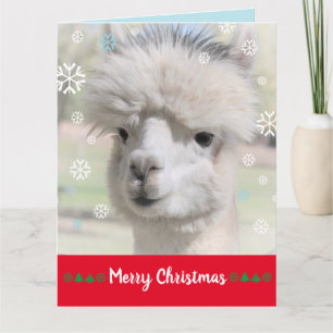 Snow Alpaca Merry Christmas Card