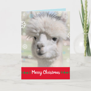Snow Alpaca Merry Christmas Card
