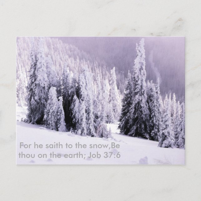 Snow and bible verse postcard (Front)
