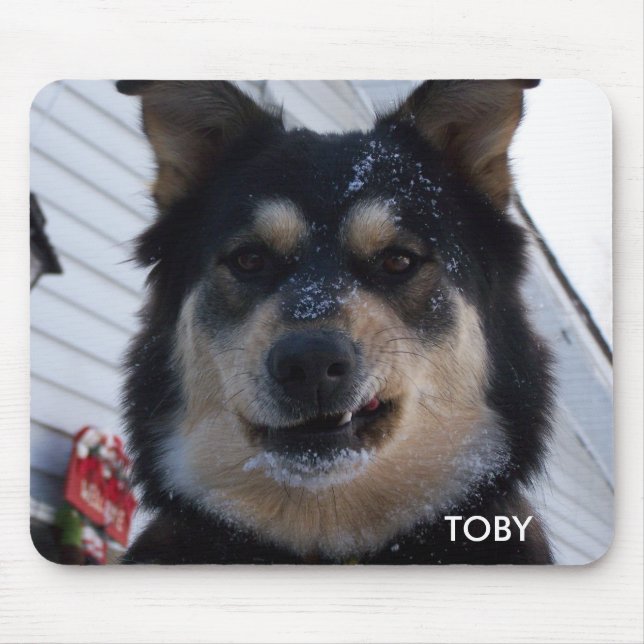 SNOW AND CHRISTMAS and devon shooting gun sled ... Mouse Pad (Front)