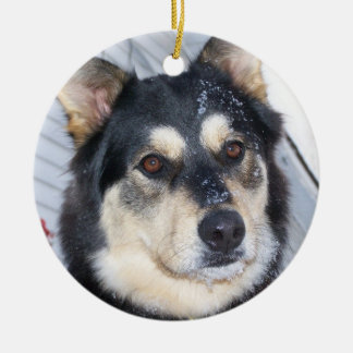 SNOW AND CHRISTMAS and devon shooting gun sled rid Ceramic Ornament