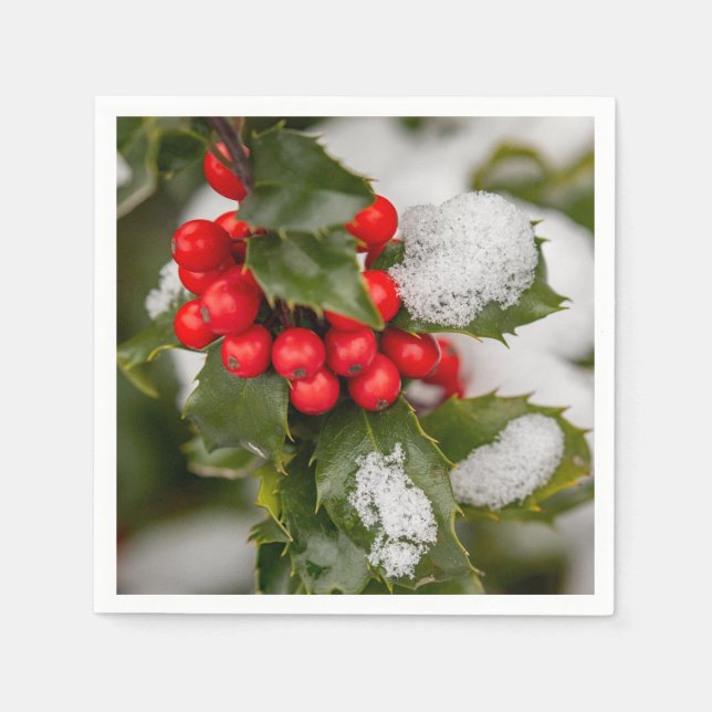 Snow And Holly   Napkins (Front)