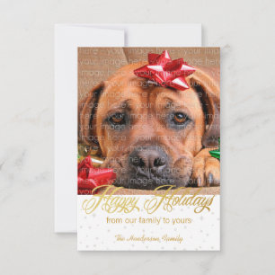 Snow and Sparkles Holiday Photo Cards