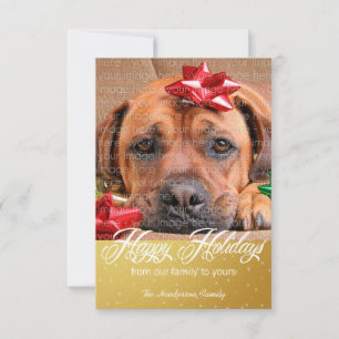 Snow and Sparkles Holiday Photo Cards