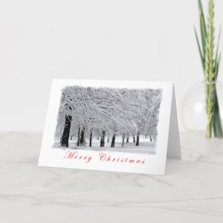 Snow and Trees Merry Christmas Holiday Card