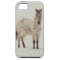 Snow Appaloosa phone case