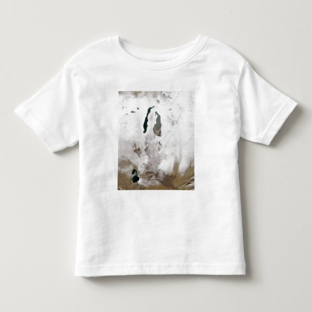 Snow around the Aral Sea Toddler T-shirt (Front)