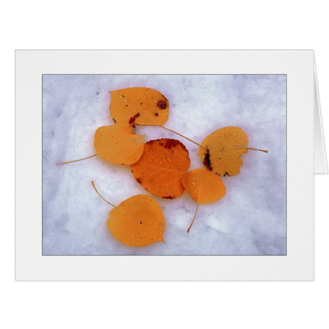 "Snow Aspens" (Front Horizontal)