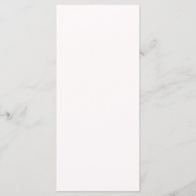 Snow Background Program (Front)